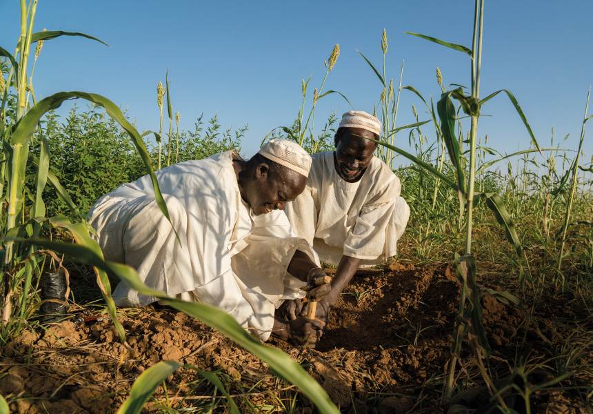 A green farm in South Sudan